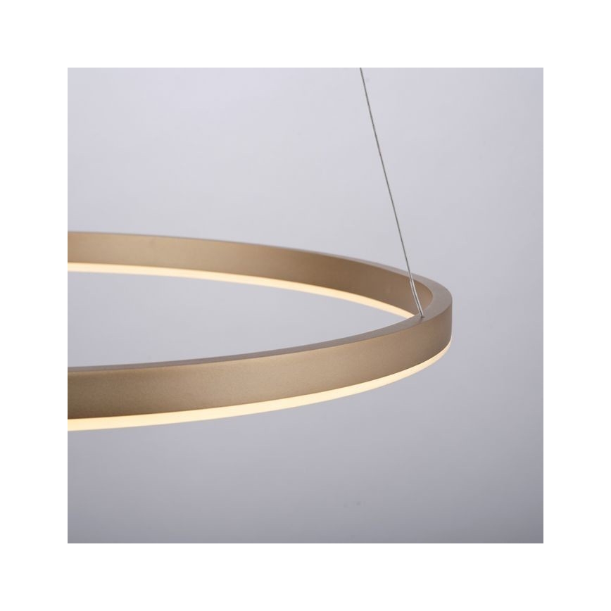 Leuchten Direkt 15394-60 - Lampadario LED dimmerabile su filo RITUS LED/28W/230V ottone