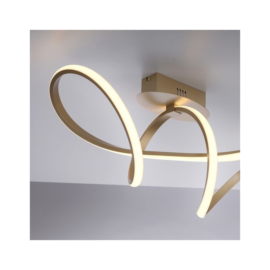 Leuchten Direkt 15403-60 - LED Lampadario a plafone dimmerabile MARIA LED/15,5W/230V
