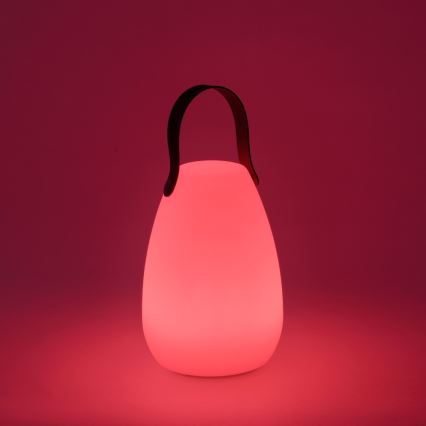 Leuchten Direkt 19879-16 - Lampada da tavolo per esterno LED RGBW KENO LED/0,6W/5V 1500 mAh IP44