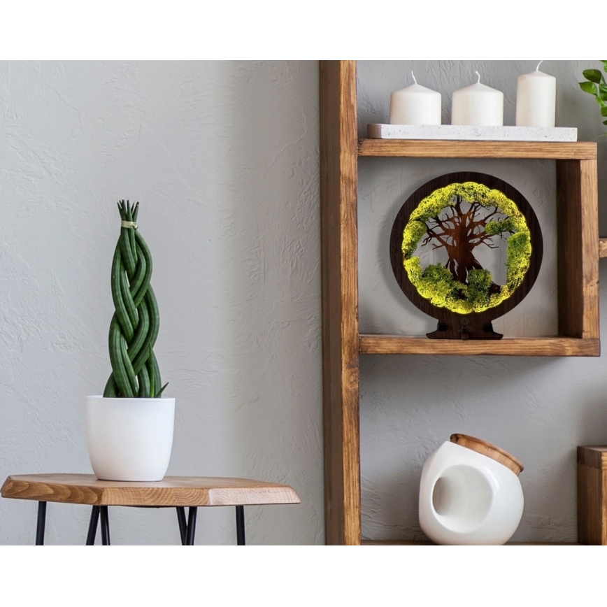 Li-Go 23604/DUB2 - Lampada da tavolo decorativa dimmerabile a LED/12W/230V 20x22 cm rovere/muschio e albero