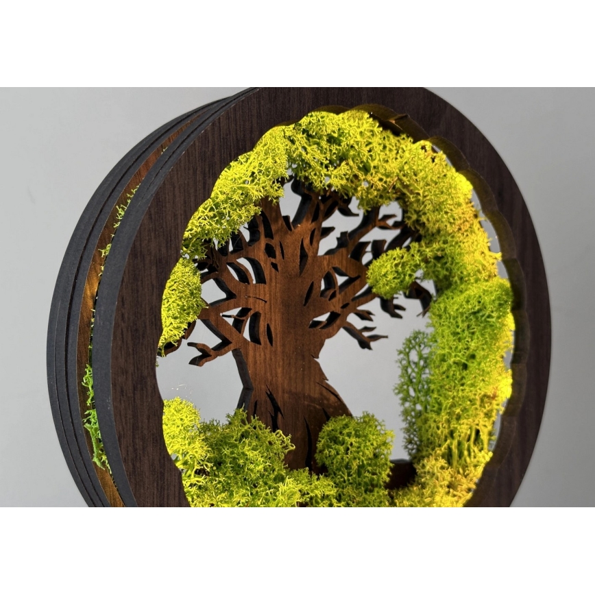 Li-Go 23604/DUB2 - Lampada da tavolo decorativa dimmerabile a LED/12W/230V 20x22 cm rovere/muschio e albero