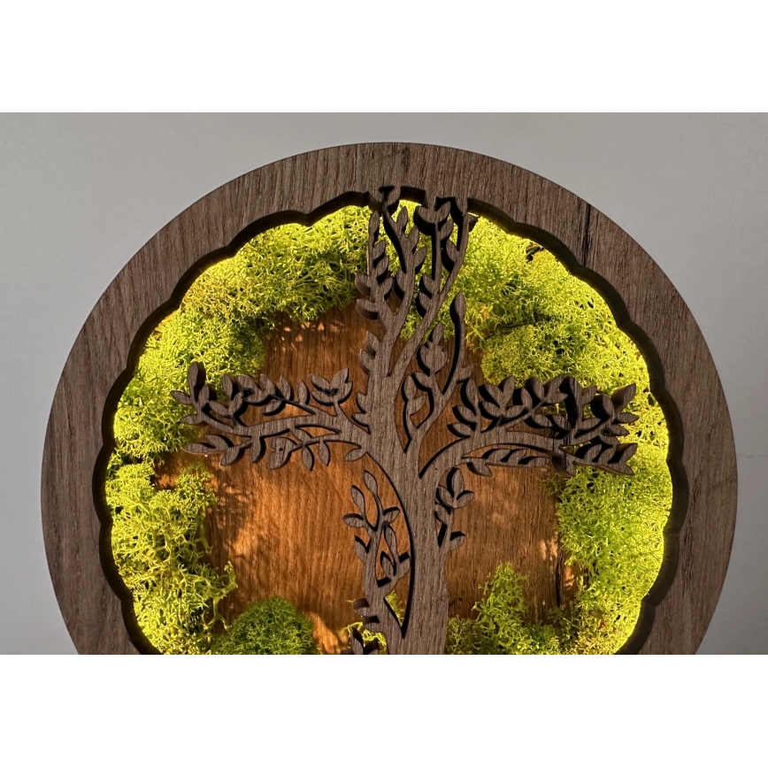 Li-Go 23622/DUB2 - Lampada decorativa da tavolo LED dimmerabile LED/12W/230V 20x22 cm rovere/Croce nel muschio