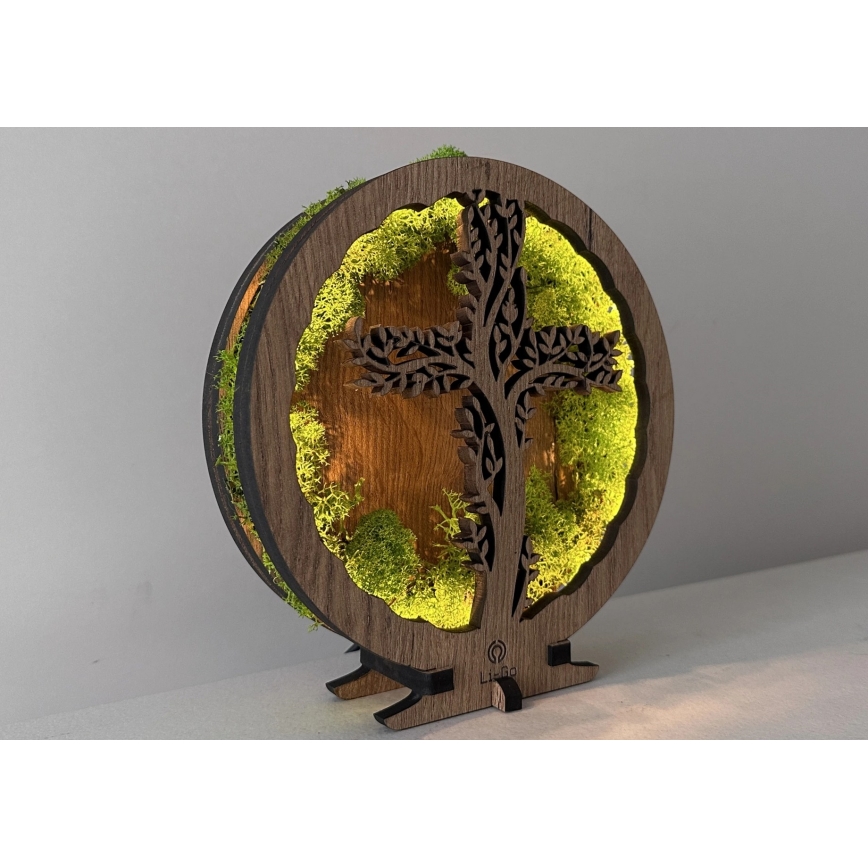 Li-Go 23622/DUB2 - Decorazione da tavolo dimmerabile a LED LED/12W/230V 20x22 cm rovere/Croce nel muschio