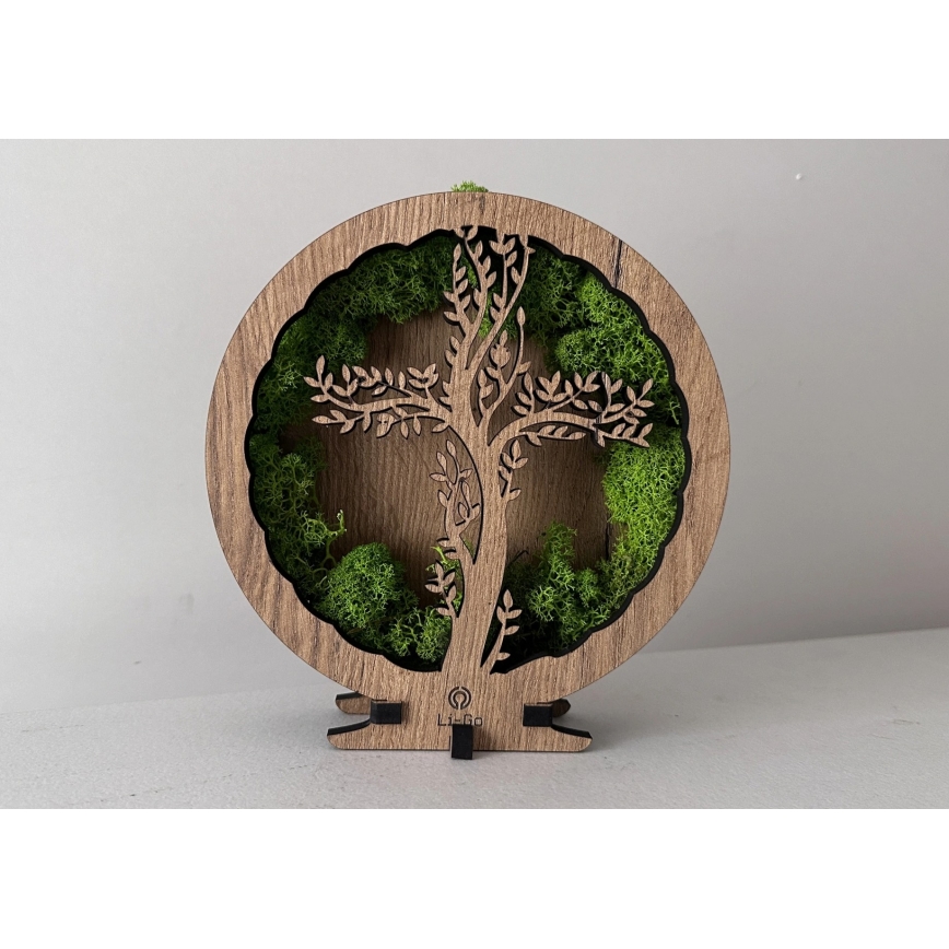 Li-Go 23622/DUB2 - Decorazione da tavolo dimmerabile a LED LED/12W/230V 20x22 cm rovere/Croce nel muschio