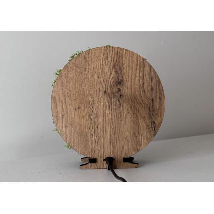 Li-Go 23622/DUB2 - Decorazione da tavolo dimmerabile a LED LED/12W/230V 20x22 cm rovere/Croce nel muschio