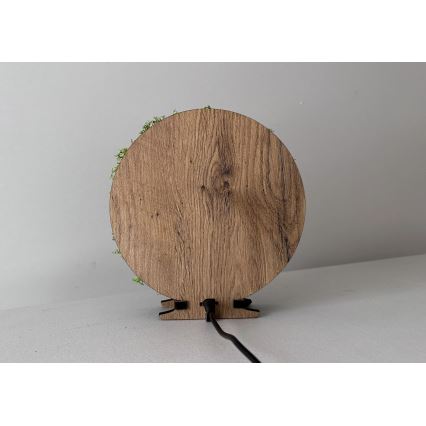 Li-Go 23625/DUB2 - Decorazione da tavolo dimmerabile a LED LED/12W/230V 20x22 cm rovere/scoiattolo in muschio