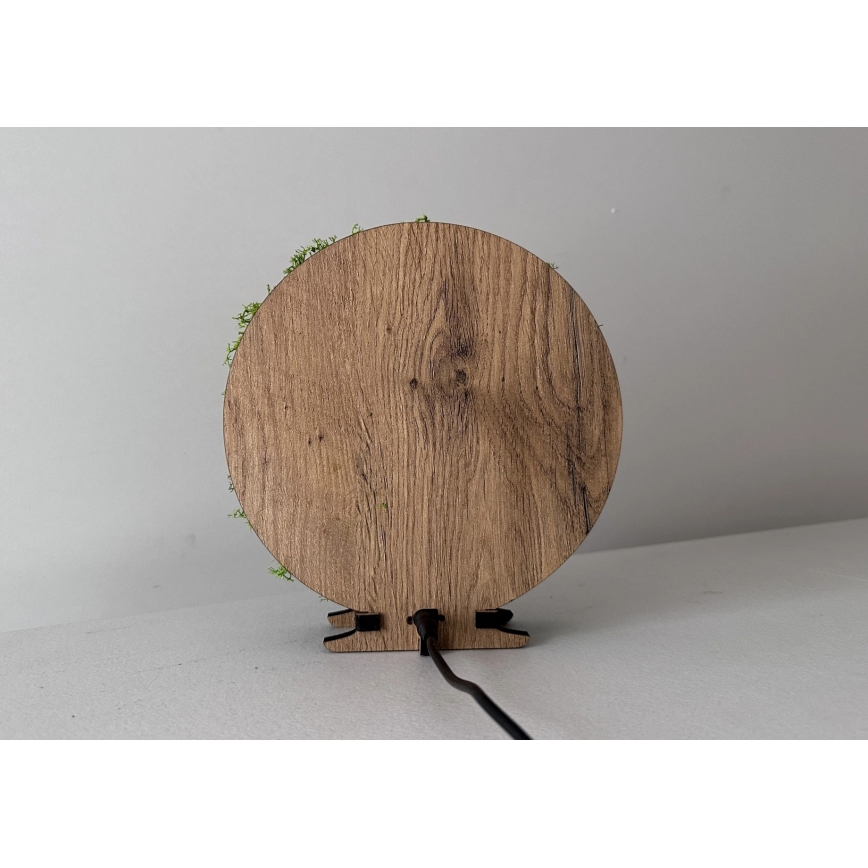 Li-Go 23625/DUB2 - Decorazione da tavolo dimmerabile a LED LED/12W/230V 20x22 cm rovere/scoiattolo in muschio