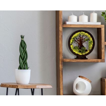 Li-Go 23631/DUB2 - Decorazione da tavolo dimmerabile a LED/12W/230V 30x31 cm rovere/muschio e albero