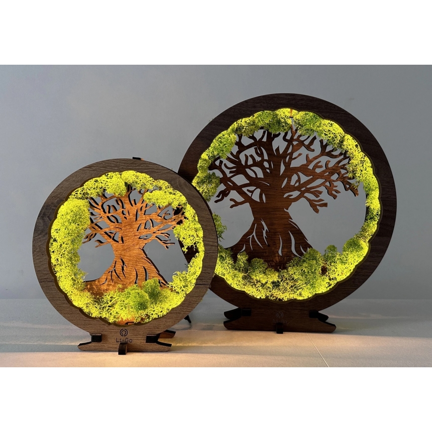 Li-Go 23631/DUB2 - Decorazione da tavolo dimmerabile a LED/12W/230V 30x31 cm rovere/muschio e albero
