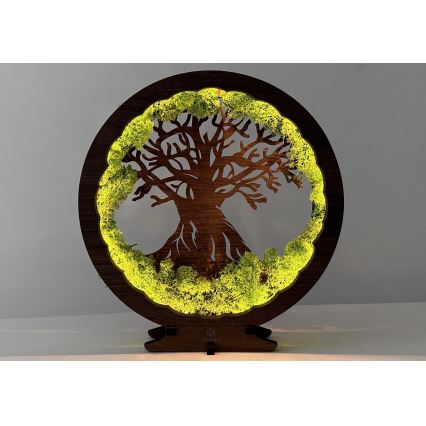 Li-Go 23631/DUB2 - Decorazione da tavolo dimmerabile a LED/12W/230V 30x31 cm rovere/muschio e albero