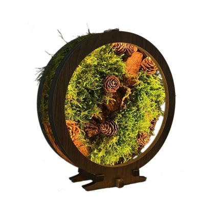 Li-Go 23654 - Decorazione da tavolo dimmerabile a LED/12W/230V 20x22 cm noce/Muschio