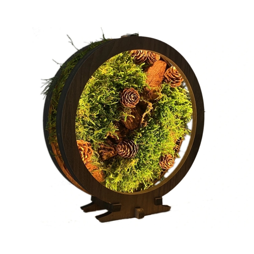 Li-Go 23654 - Decorazione da tavolo dimmerabile a LED/12W/230V 20x22 cm noce/Muschio