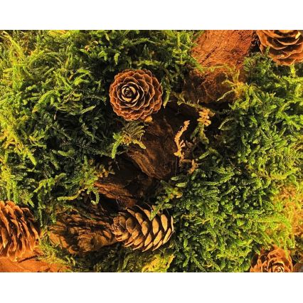 Li-Go 23654 - Decorazione da tavolo dimmerabile a LED/12W/230V 20x22 cm noce/Muschio