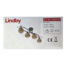 Lindby - Faretto LEANDA 4xE14/40W/230V