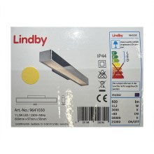 Lindby - Illuminazione a LED per specchio da bagno KIANA LED/11,2W/230V IP44
