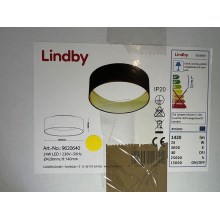 Lindby - Plafoniera LED COLEEN LED/24W/230V