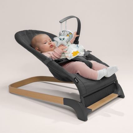 Lionelo - Altalena per bambini JUNE antracite