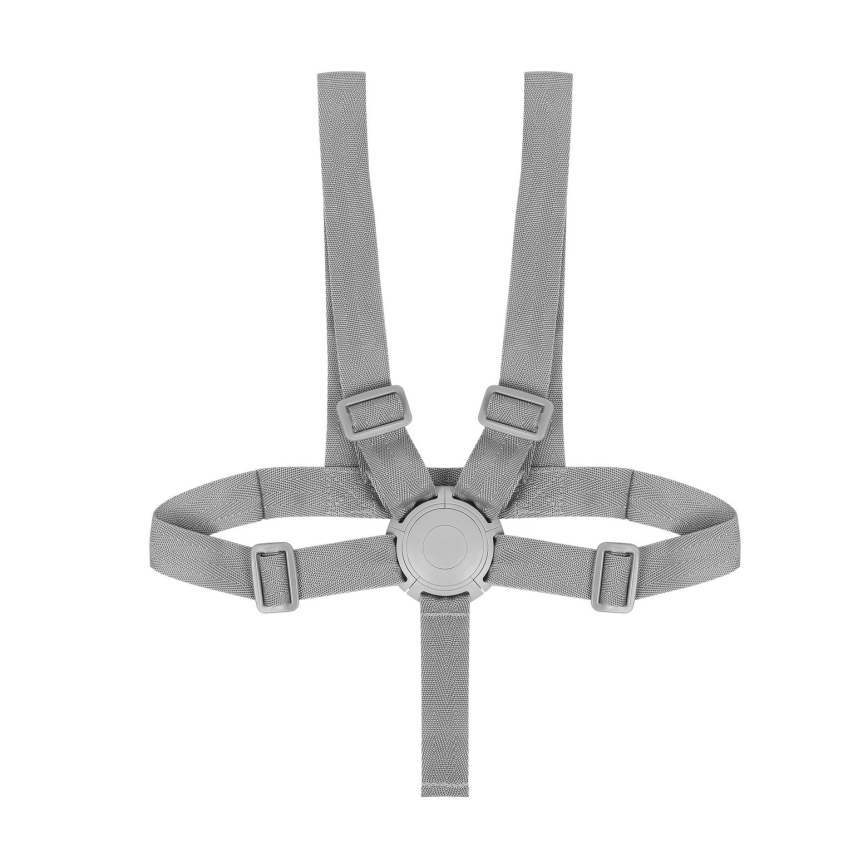 Lionelo - DALIA SET 4-in-1 Sedia da pranzo per bambini Grigio Pietra Naturale