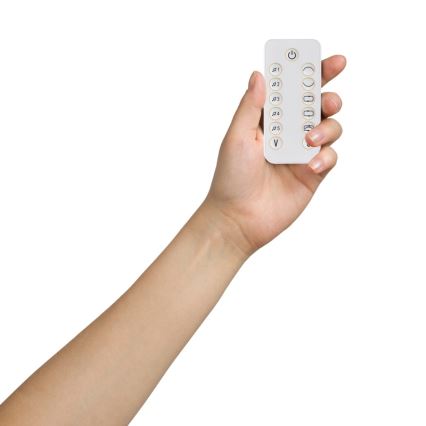 Lionelo - Dondolo per bambini con melodia OLIVIA Beige Naturale + telecomando