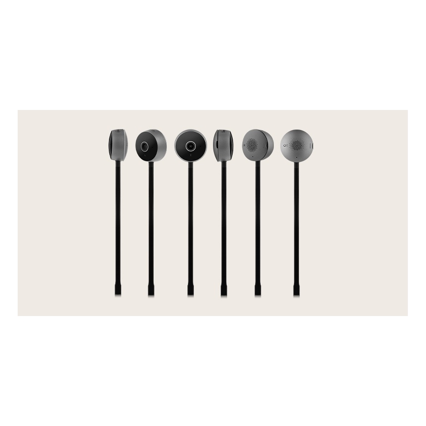 Lionelo - Monitor per bambini intelligente BABYLINE SMART Wi‑Fi Nero