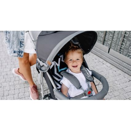 Lionelo - Passeggino a ombrello ELIA grigio