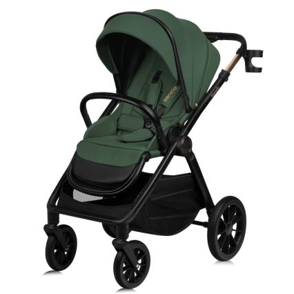 Lionelo - Passeggino combinato 2 in 1 LAYLA Verde Foresta