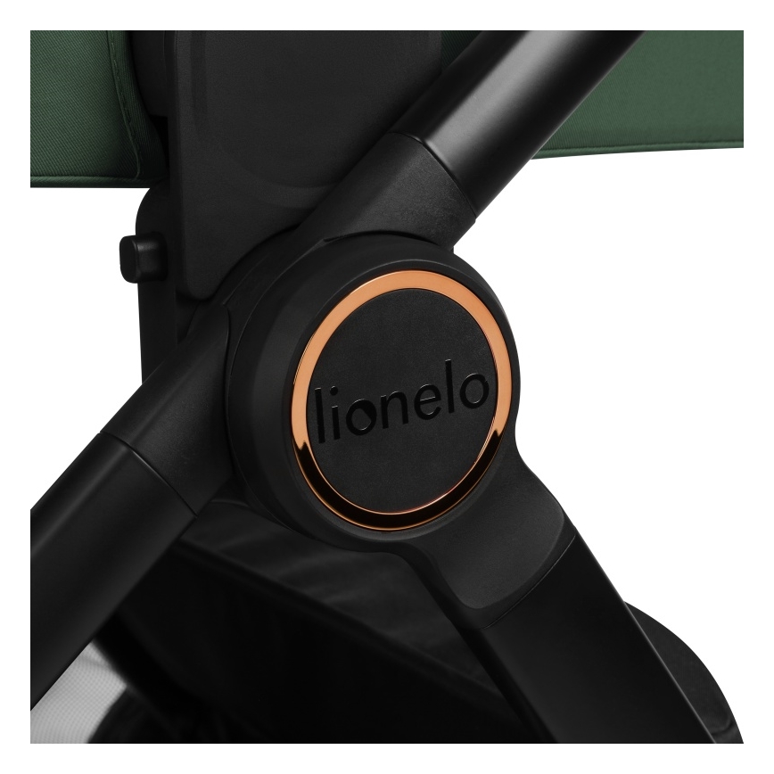 Lionelo - Passeggino combinato 2 in 1 LAYLA Verde Foresta