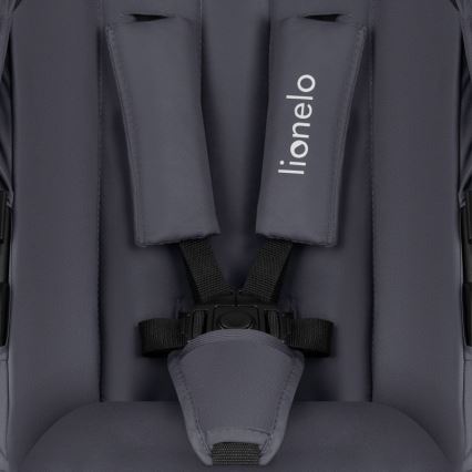 Lionelo - Passeggino combinato 3 in 1 AMBER PLUS grigio grafite