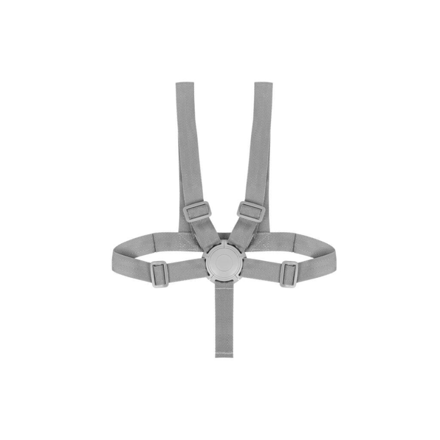 Lionelo - Sedia da pranzo per bambini 2in1 DALIA bianco/grigio