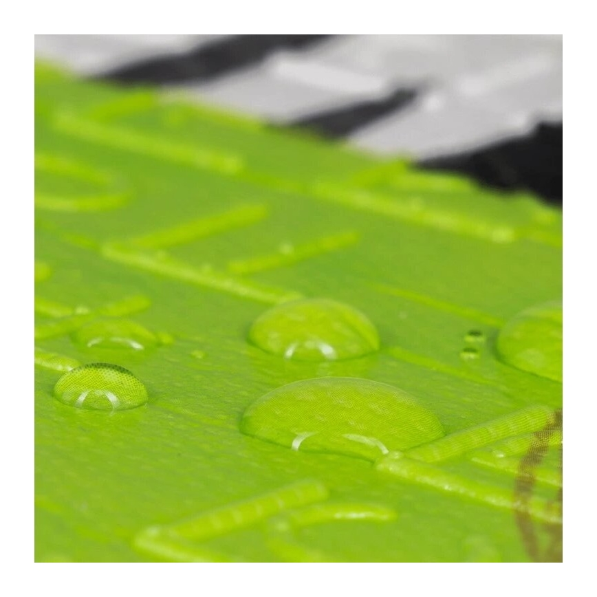 Lionelo - Tappetino da gioco per bambini ROBBY