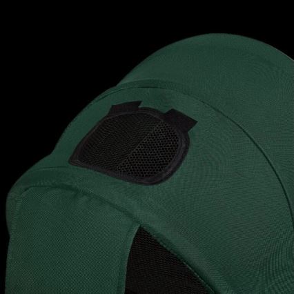 Lionelo - Triciclo per bambini HAARI verde/nero