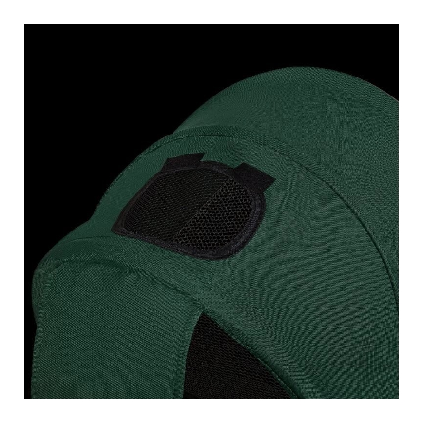 Lionelo - Triciclo per bambini HAARI verde/nero