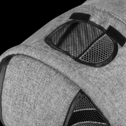 Lionelo - Triciclo per bambini TRIS grigio