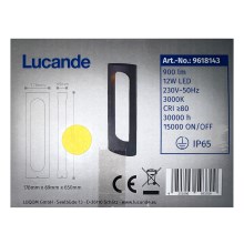 Lucande - Lampada da esterno FENTI LED/12W/230V IP65