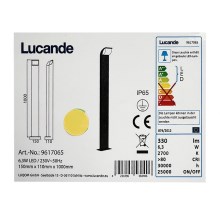 Lucande - Lampada da esterno TINNA LED/6,3W/230V IP65
