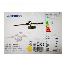 Lucande - Lampada LED da quadro DIMITRIJ LED/12W/230V