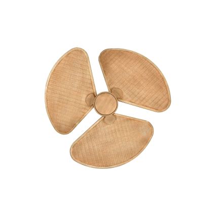 Lucci Air 21325549 - Ventilatore da soffitto dimmerabile a LED SABLE 1xGX53/12W/230V 3000/4000/5000K Ø 91,5 cm marrone + telecomando