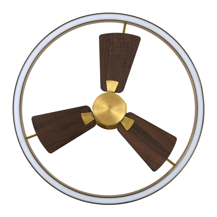 Lucci air 21611649 - Ventilatore da soffitto dimmerabile a LED CESSNA LED/36W/230V 3000/4000/5000K oro + telecomando