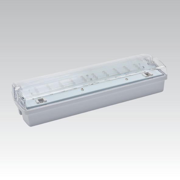 Luce di emergenza a LED CARLA LED/5,51W/230V temporaneo 1h IP65