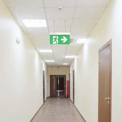 Luce di emergenza a LED EMERGENCY EXIT LED/2,5W/230V 4in1 6000K