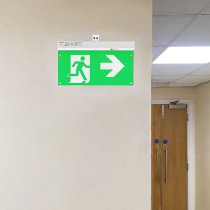 Luce di emergenza a LED EMERGENCY EXIT LED/2,5W/230V 4in1 6000K