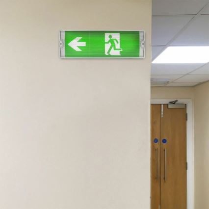 Luce di emergenza a LED EMERGENCY EXIT LED/3W/230V 6400K IP65