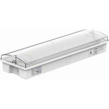 Luce di emergenza a LED EMERGENCY EXIT LED/3W/230V 6400K IP65