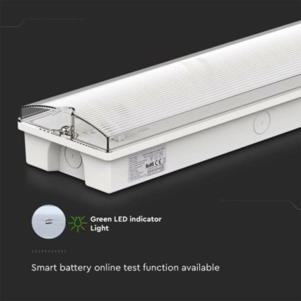 Luce di emergenza a LED EMERGENCY EXIT LED/3W/230V 6400K IP65