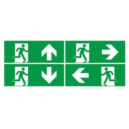 Luce di emergenza a LED EMERGENCY EXIT LED/3W/230V 6400K IP65