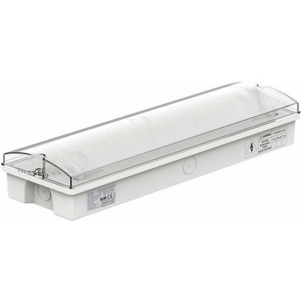 Luce di emergenza a LED con un normale test di funzionalità EMERGENCY EXIT LED/3W/230V 6400K IP65