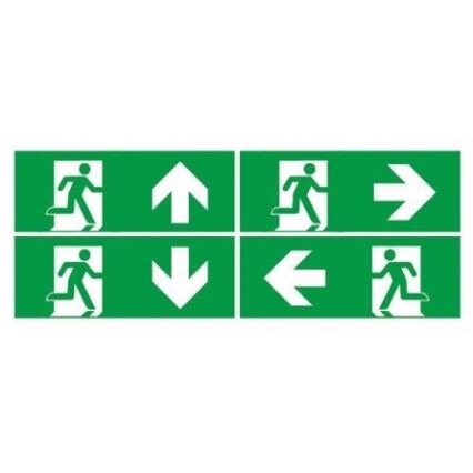 Luce di emergenza a LED con un normale test di funzionalità EMERGENCY EXIT LED/3W/230V 6400K IP65