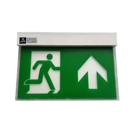 Luce di emergenza a LED LED/2W/230V 6000K 1500 mAh