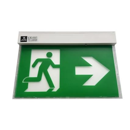 Luce di emergenza a LED LED/2W/230V 6000K 1500 mAh