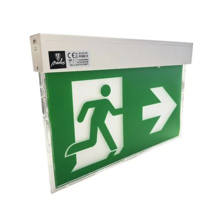 Luce di emergenza a LED LED/2W/230V 6000K 1500 mAh